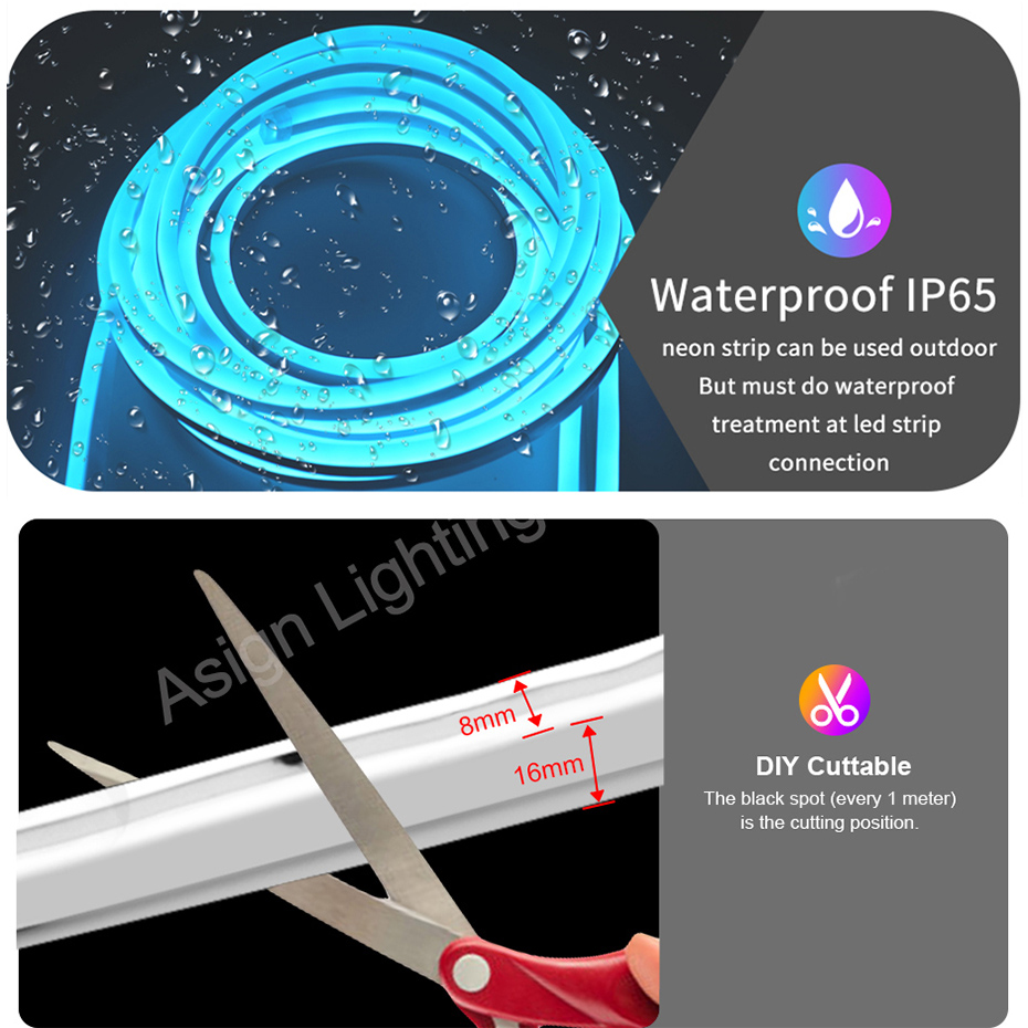 Luz Neon LED RGB Tuya WiFi, Bl - Decor Lighting Uk avaliação e preço